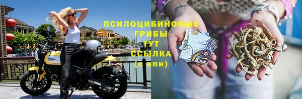 а пвп мука Медногорск