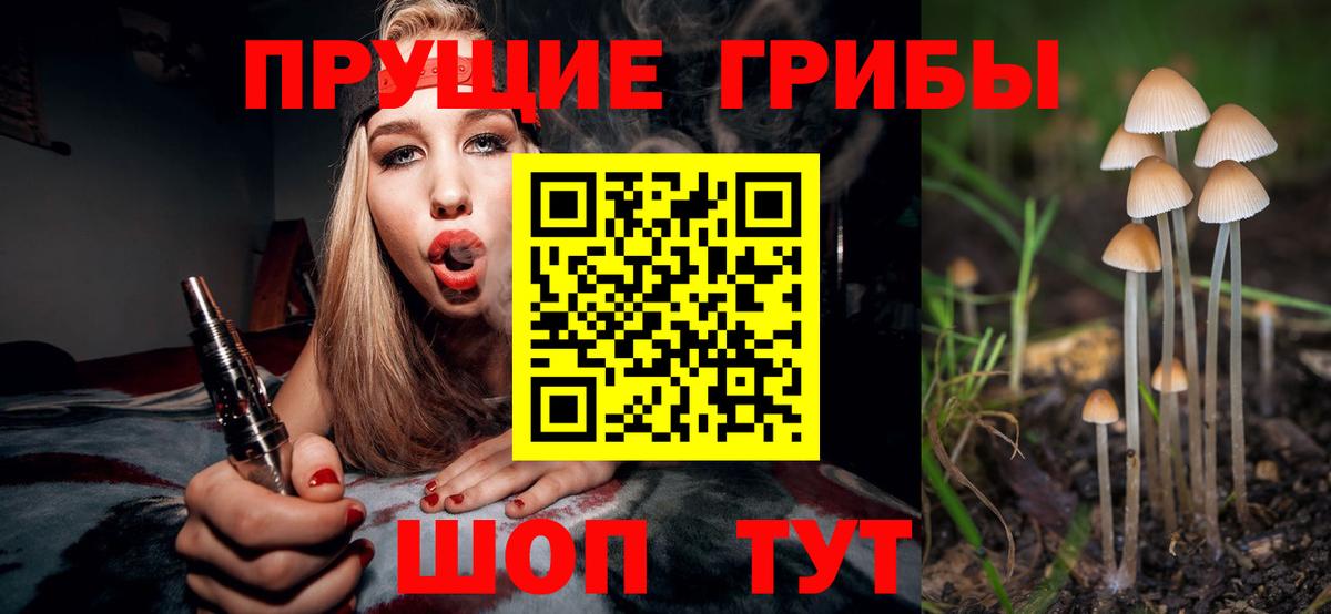 хочу наркоту  Псилоцибиновые грибы GOLDEN TEACHER  Всеволожск  Псилоцибиновые грибы мицелий 